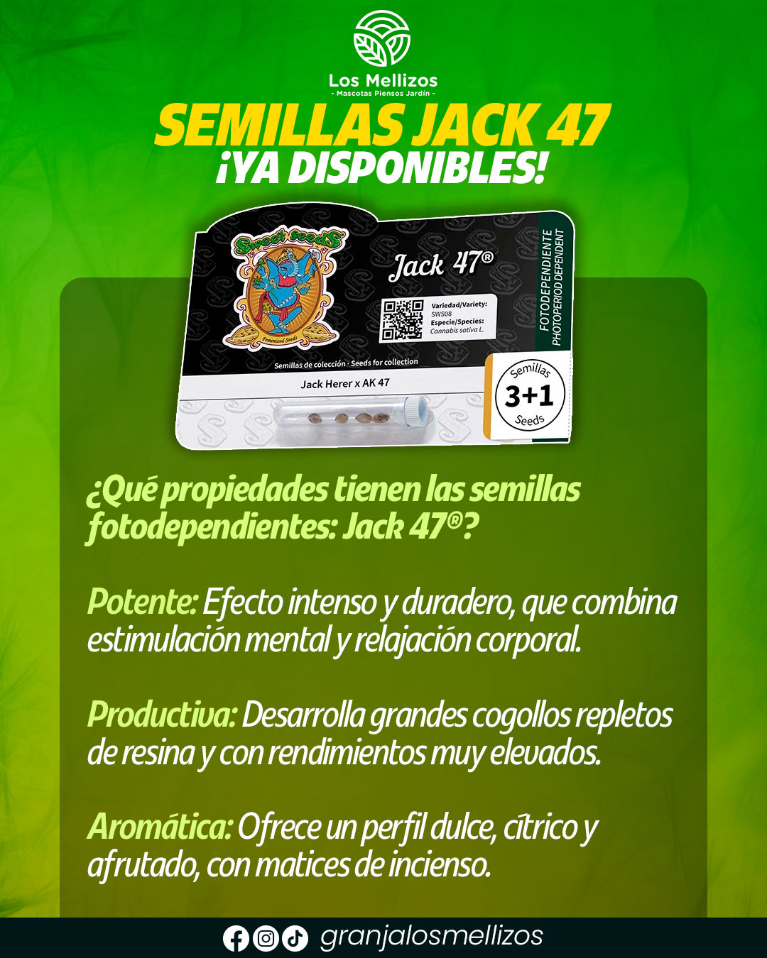 Semillas · Jack 47