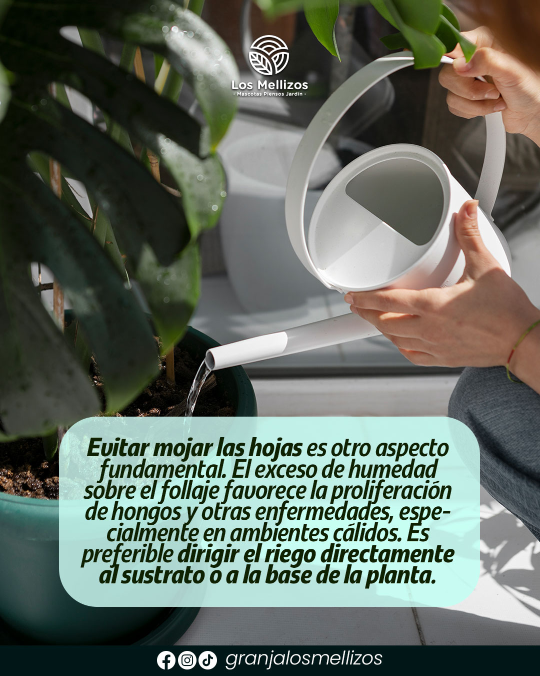 Riego responsable en el jardín