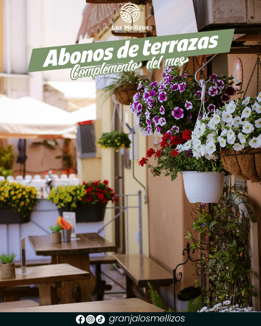 Complemento del mes · Abonos de terrazas