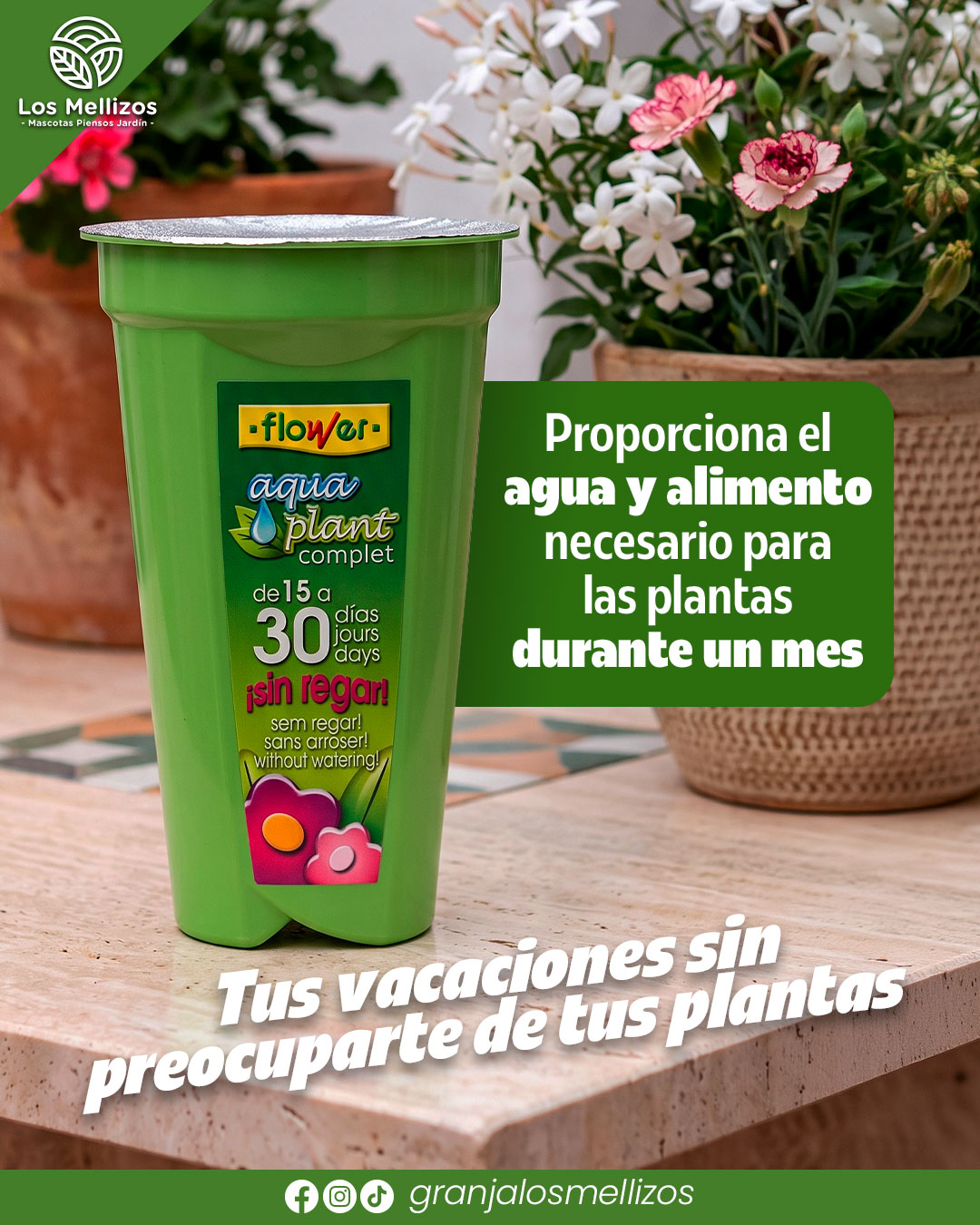Aqua Plant de Flower