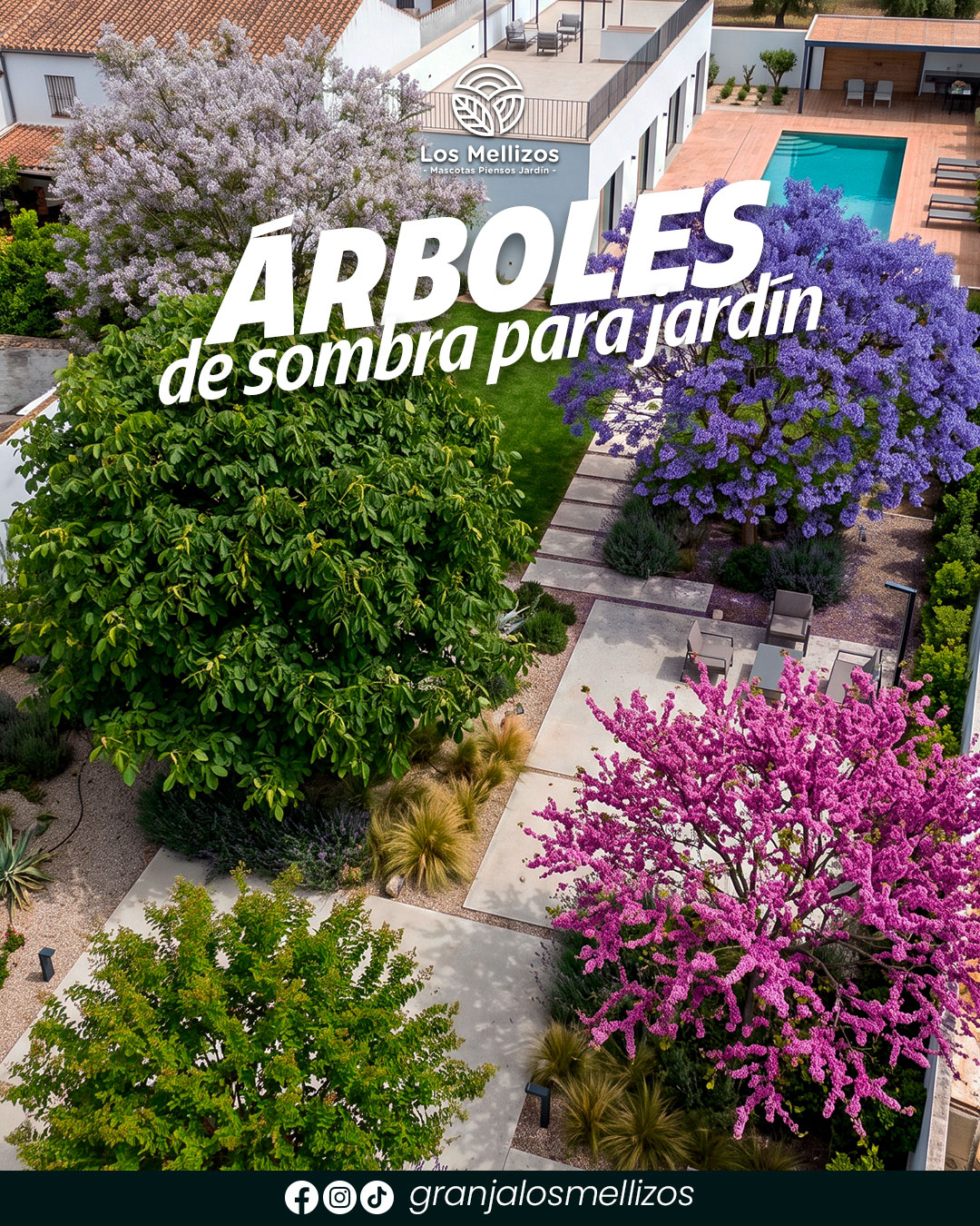 Los 5 mejores árboles de sombra