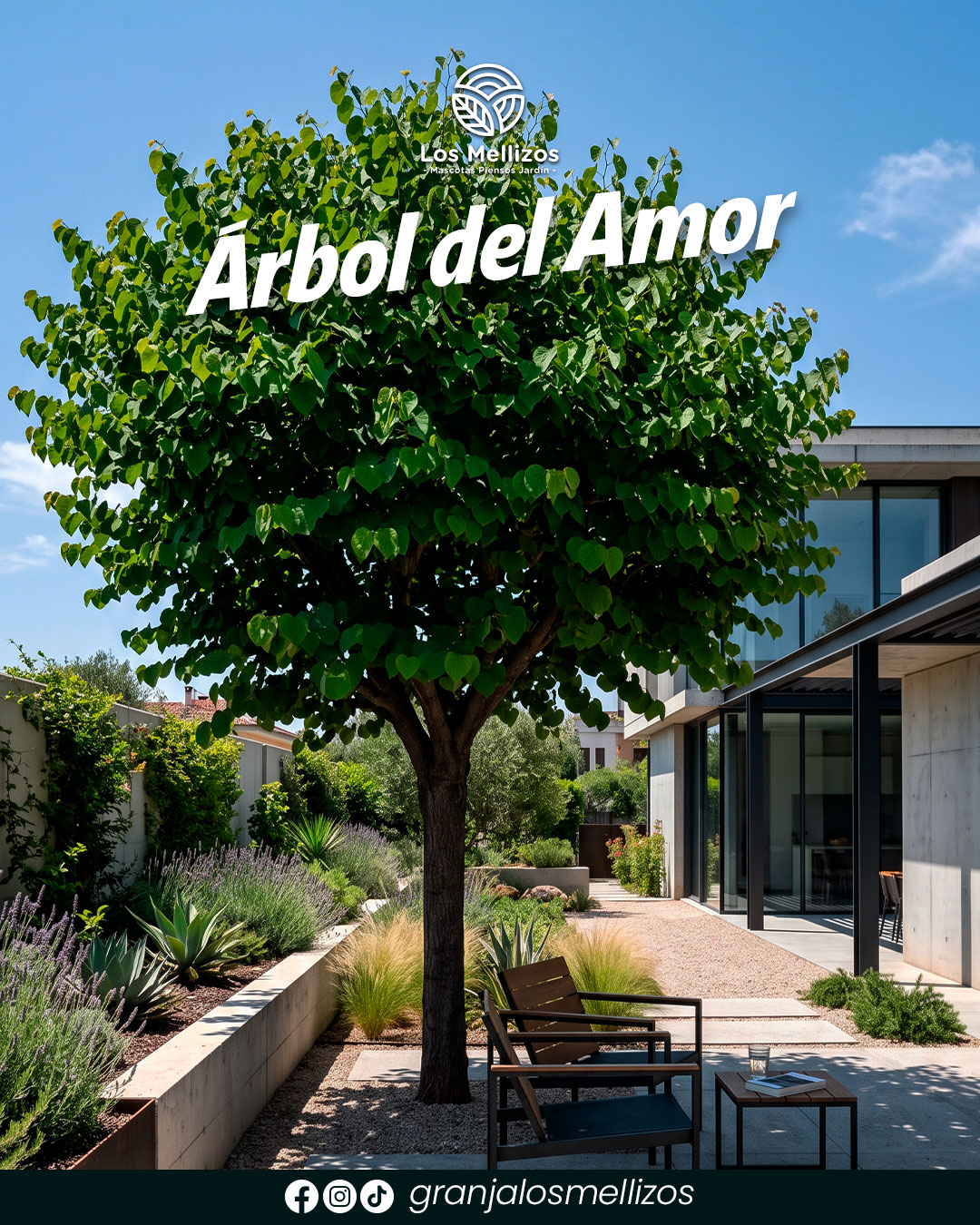 Árbol del amor