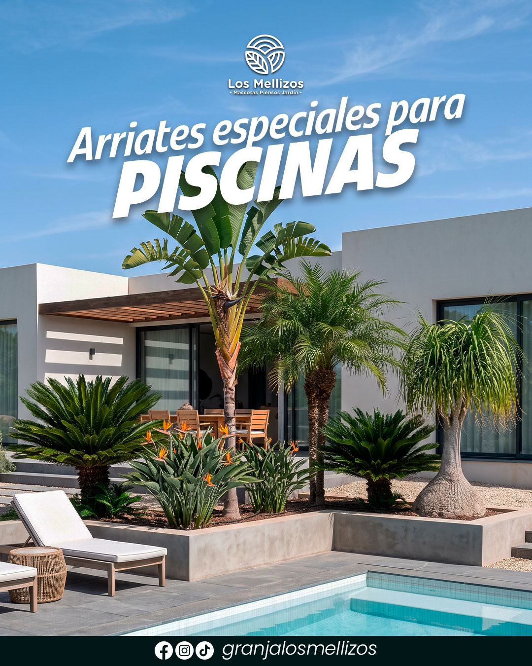 Guía para diseñar arriates en piscinas