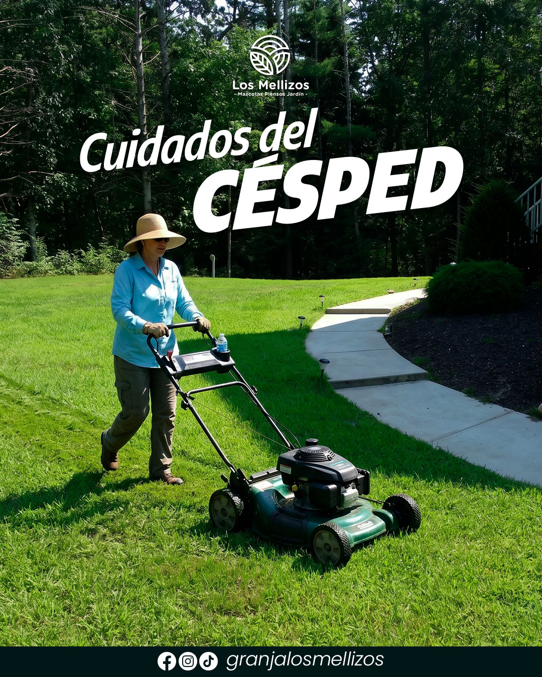 Cómo cuidar el césped en verano
