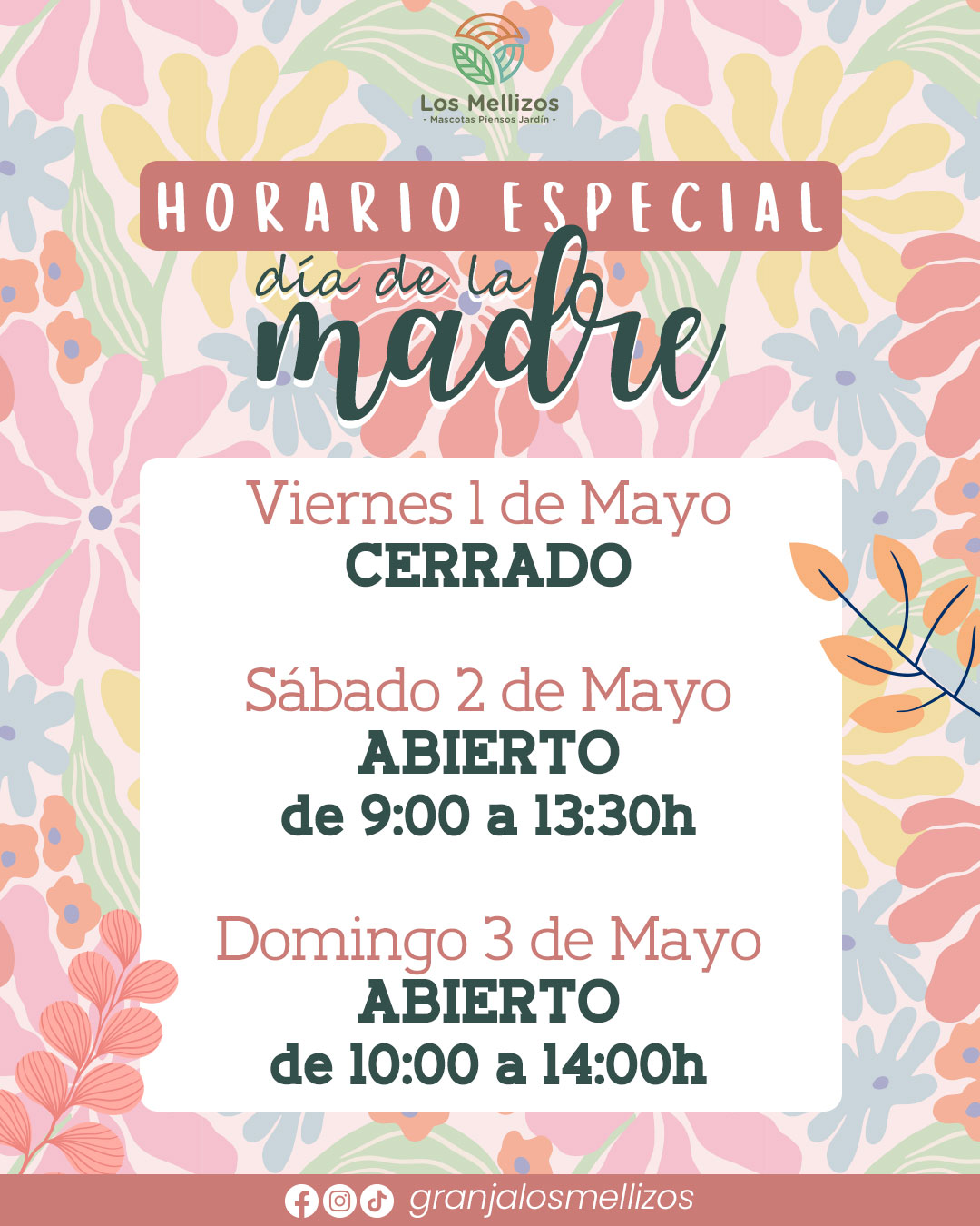 Horario especial Día de la Madre