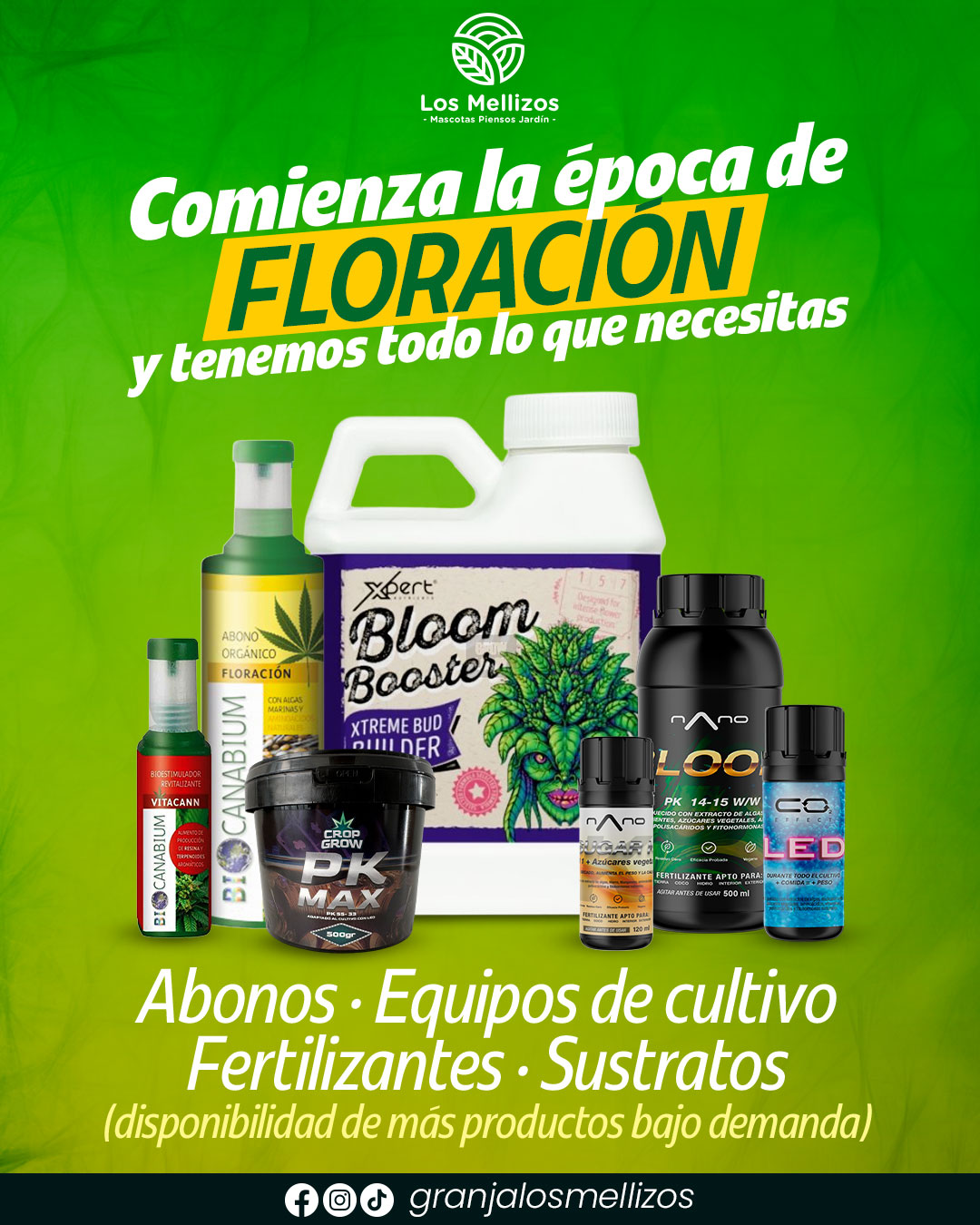 Comienza la época de floración