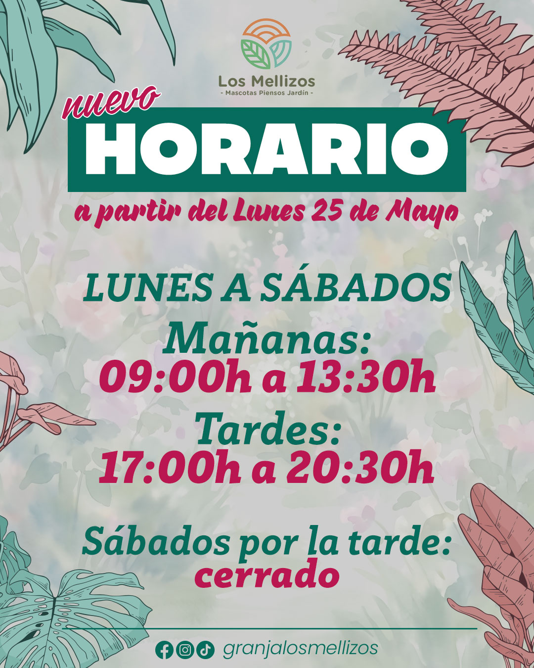 Nuevo horario de tardes
