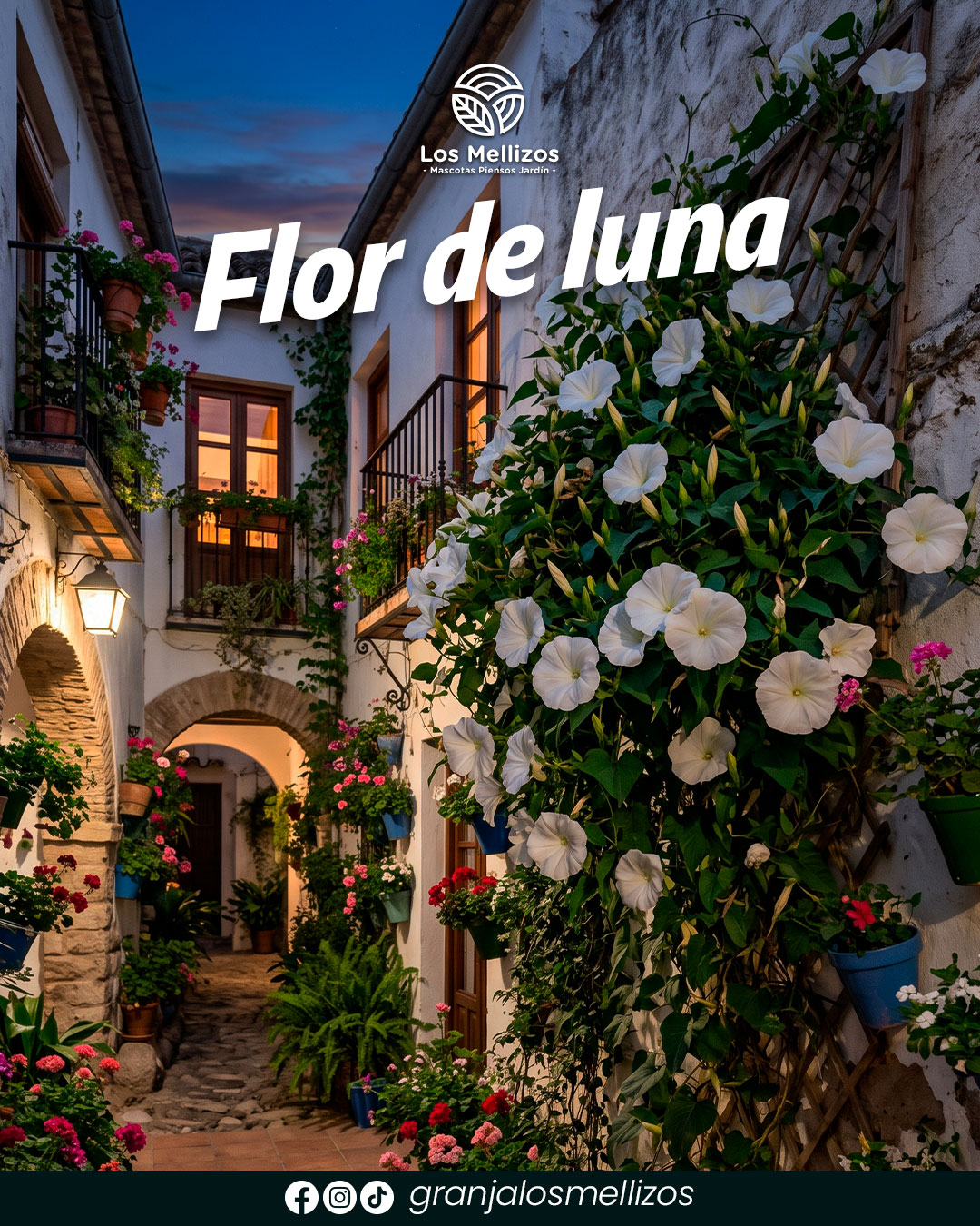 Flor de luna