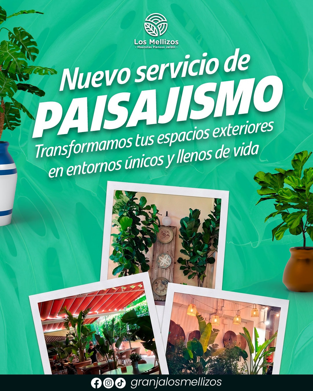 Paisajismo y diseño de jardines en Córdoba