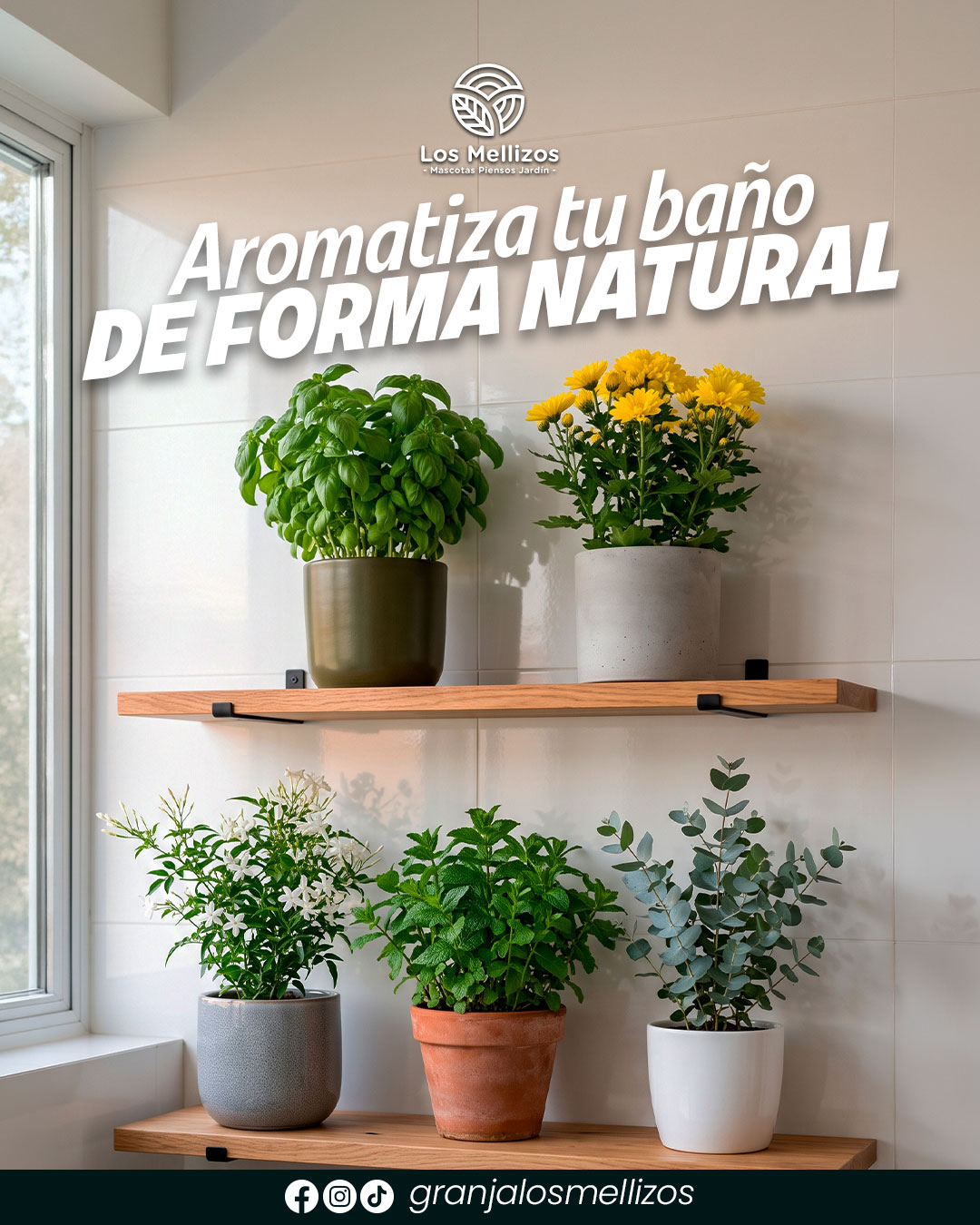 Aromatiza tu baño de forma natural