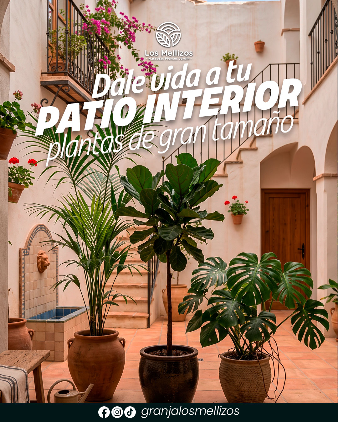 Plantas de gran tamaño para patios interiores