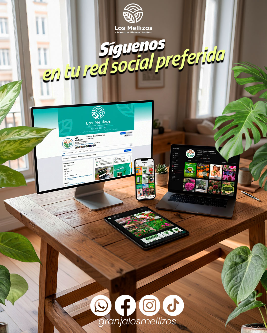Síguenos en redes sociales