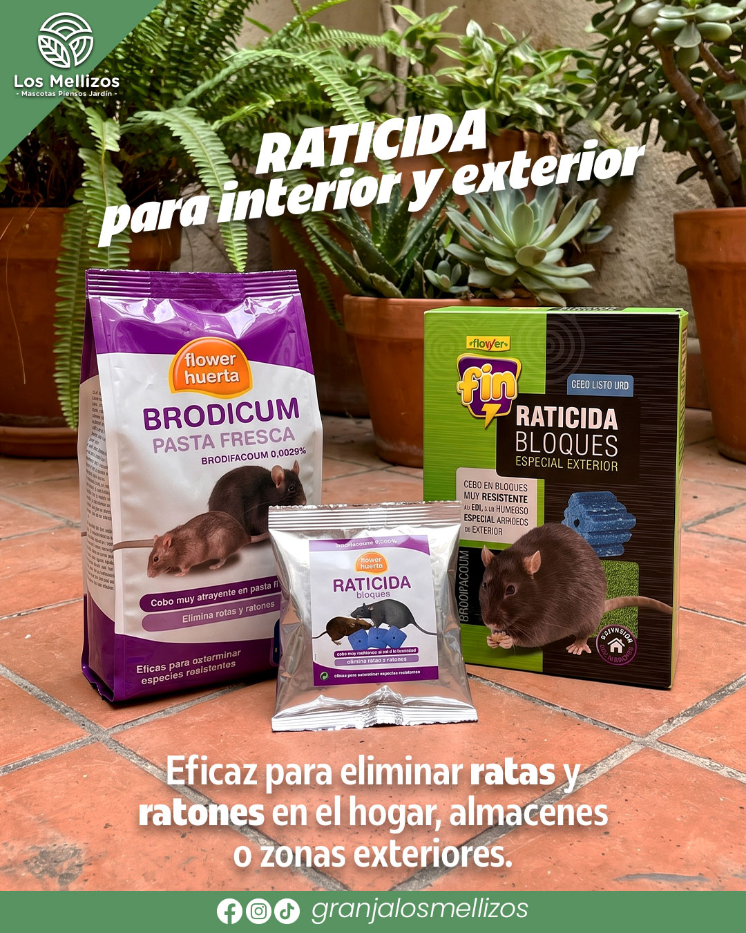 Raticidas: acaba con ratas y ratones en jardines y huertos