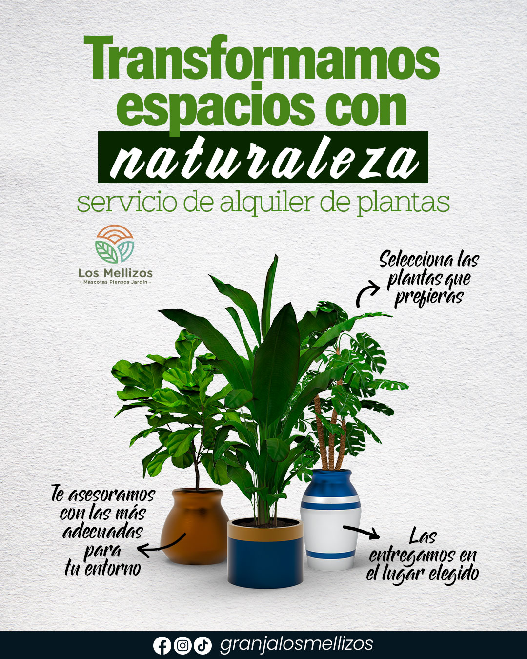 Alquiler de plantas para eventos